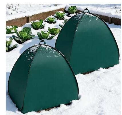 折りたたむ冬季植物保護テント 防寒 防風 防雪 庭 野菜 果物 花